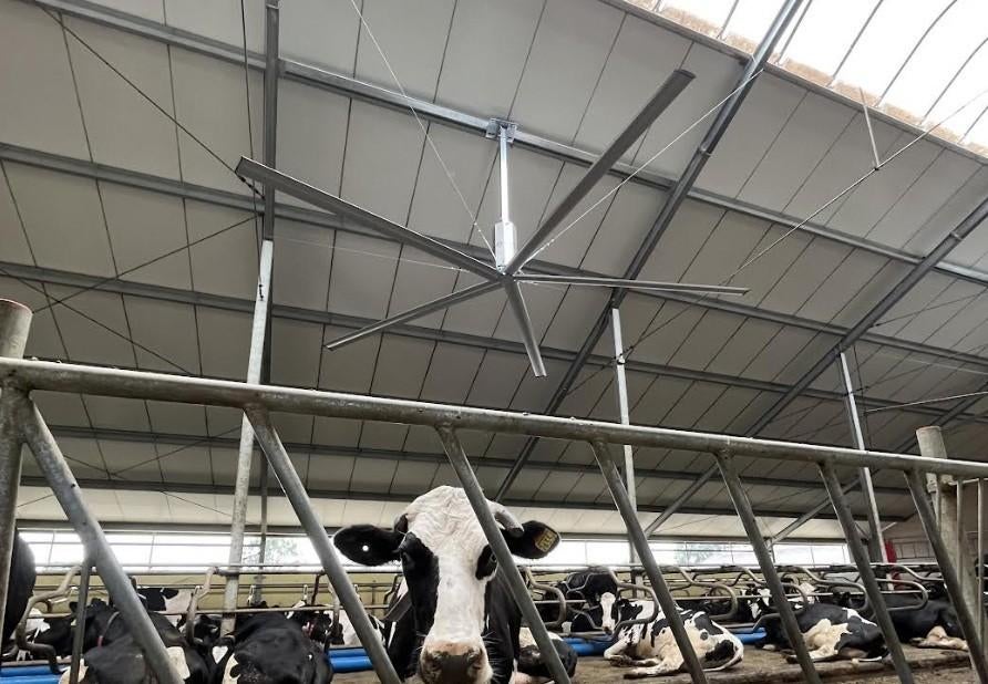 stalventilator, Doe-het-zelf en Verbouw, Ventilatie en Afzuiging, Afzuiger, Ophalen of Verzenden