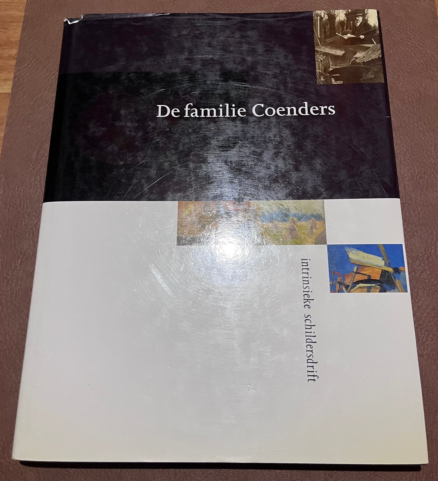 Boek - De familie Coenders - Intrinsieke Schildersdrift, Ophalen of Verzenden, Gelezen, Schilder- en Tekenkunst