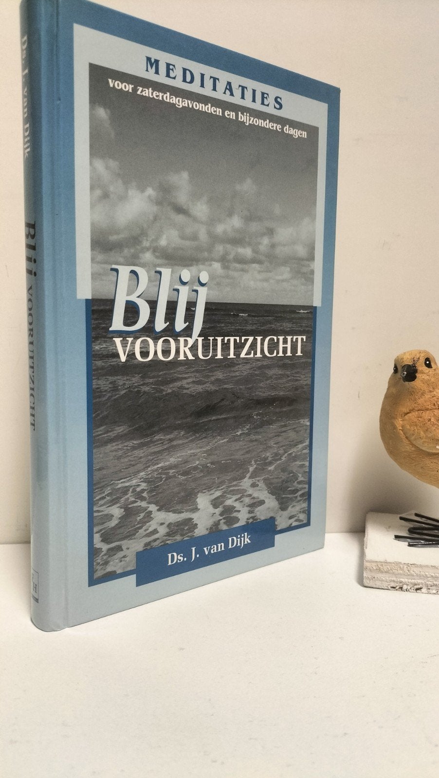 Dijk, Ds. J. van; Blij vooruitzicht, Ophalen of Verzenden, Gelezen, Christendom | Protestants