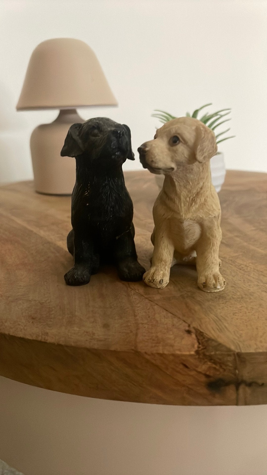 Labrador puppy beeldje in goede staat, Ophalen of Verzenden, Gebruikt, Beige, Steen/keramiek