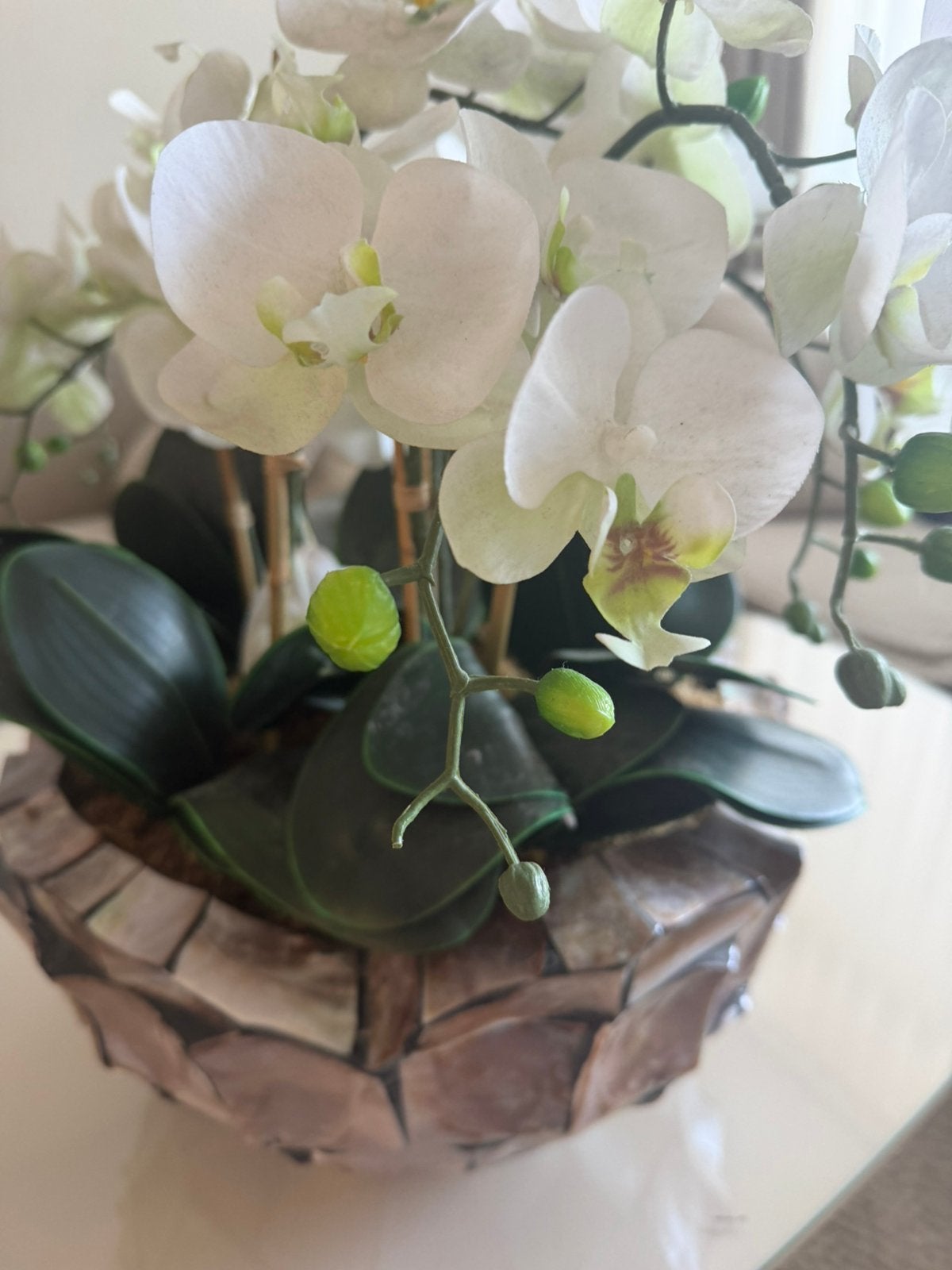 Kunstplant te koop, Ophalen of Verzenden, Gebruikt, Kunstplant, Wit