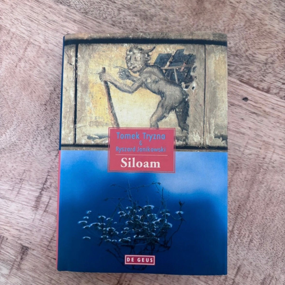 Siloam – Tomek Tryzna & Ryszard Janikowski, Ophalen of Verzenden, Zo goed als nieuw, Nederland