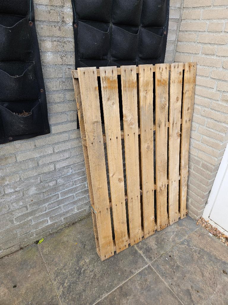pallet gratis, Ophalen, Gebruikt, 50 mm of meer, Pallet
