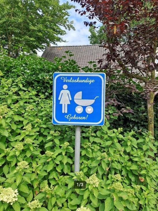 UNIEK geboortebord!!! incl. naam van je eigen kindje!!, Kinderen en Baby's, Ophalen, Zo goed als nieuw
