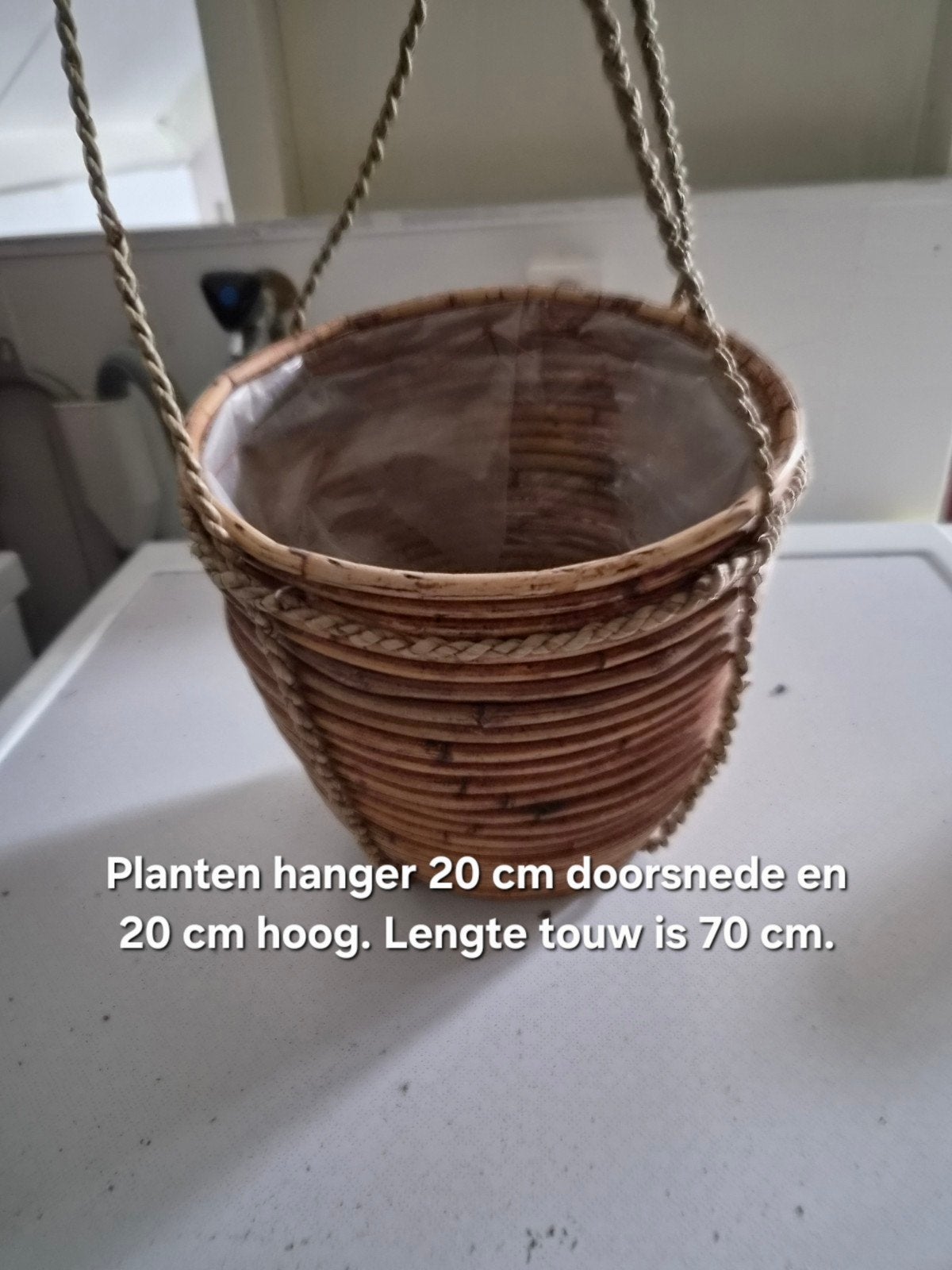Planten hanger, Ophalen of Verzenden, Halfschaduw, Minder dan 100 cm