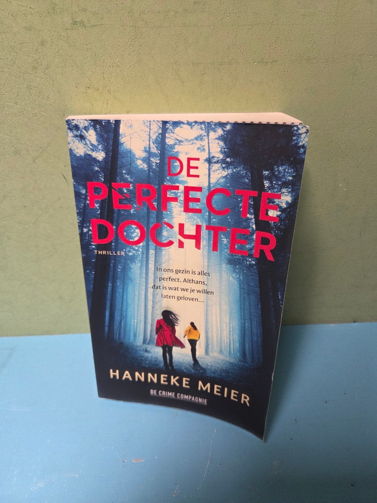 De Perfecte Dochter - Hanneke Meier (Thriller), Ophalen of Verzenden, Gelezen, Hanneke Meier, Nederland