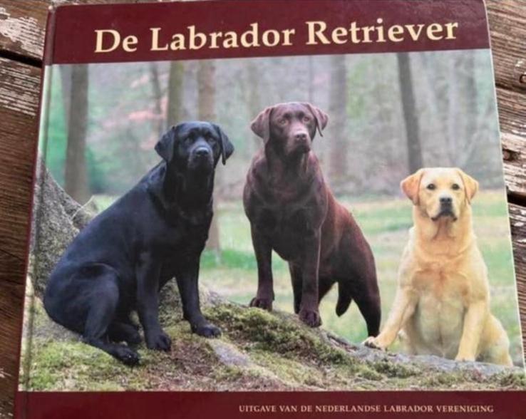 De labrador retriever boek, Boeken, Ophalen of Verzenden, Zo goed als nieuw, Honden