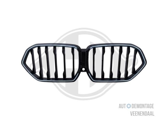 Grille van een BMW X6, -, -, Nieuw, Ophalen of Verzenden