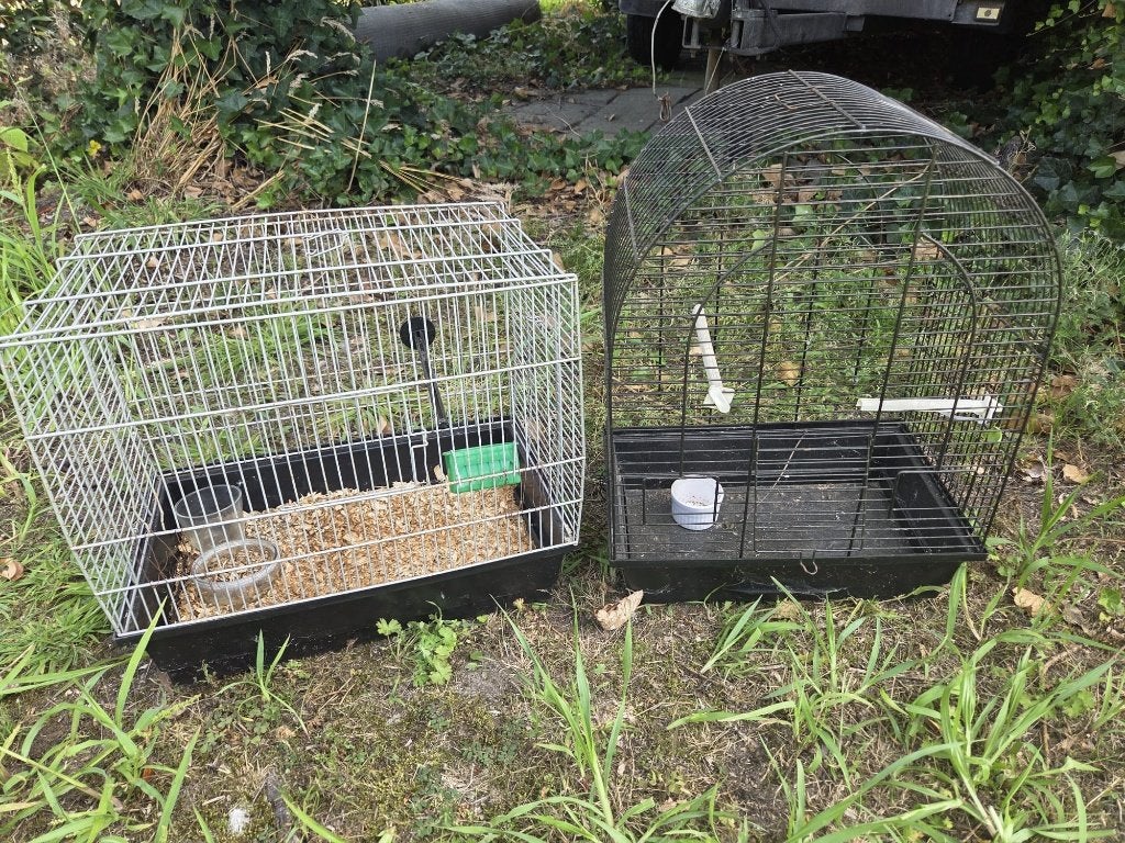 2 Vogelkooien, Dieren en Toebehoren, Vogels | Hokken en Kooien, Ophalen, Gebruikt, Metaal, Vogelkooi
