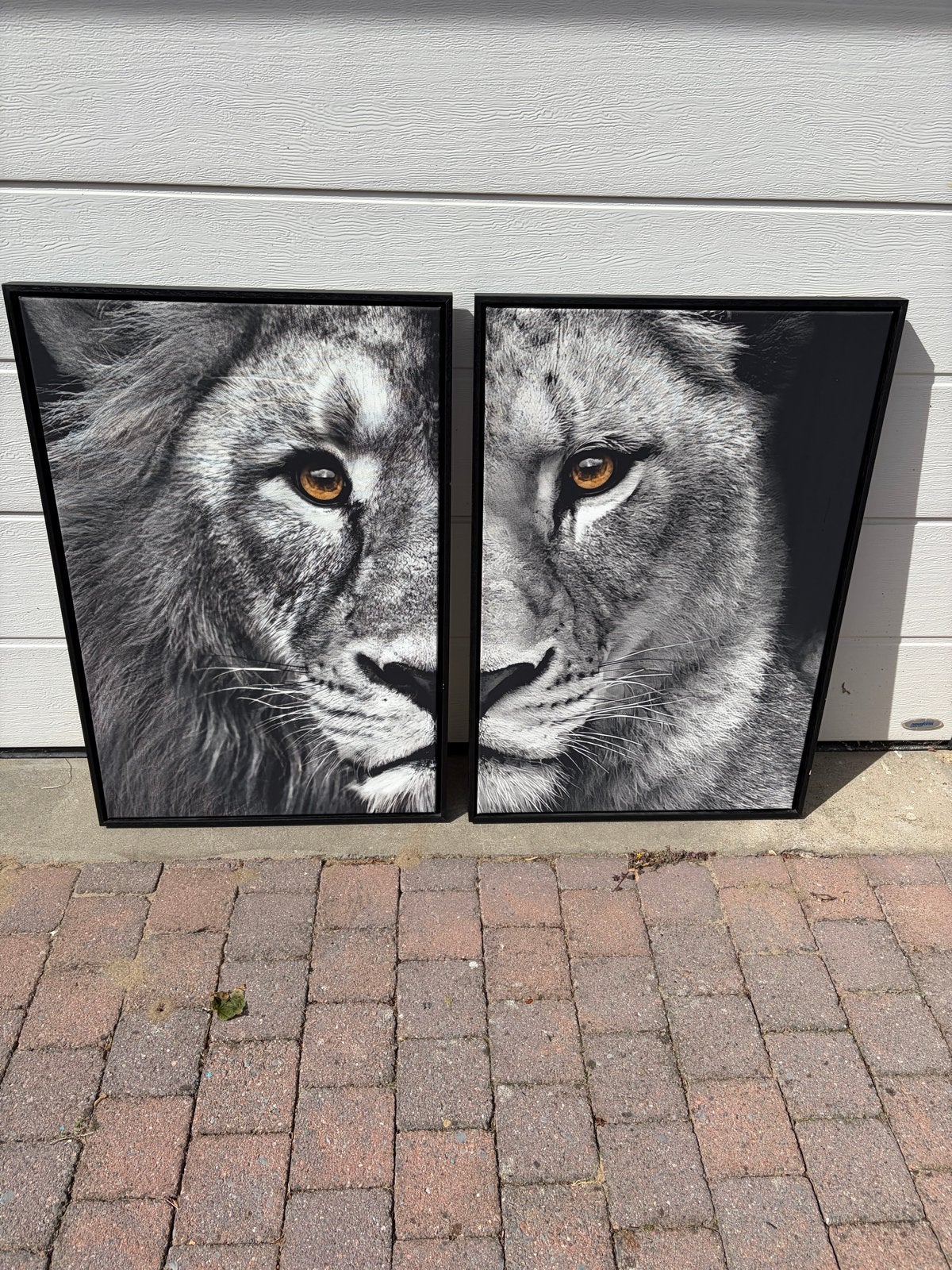 Mooi 2-delig canvas met leeuwen in lijst, Huis en Inrichting, Woonaccessoires | Schilderijen, Tekeningen en Foto's, Ophalen, Gebruikt