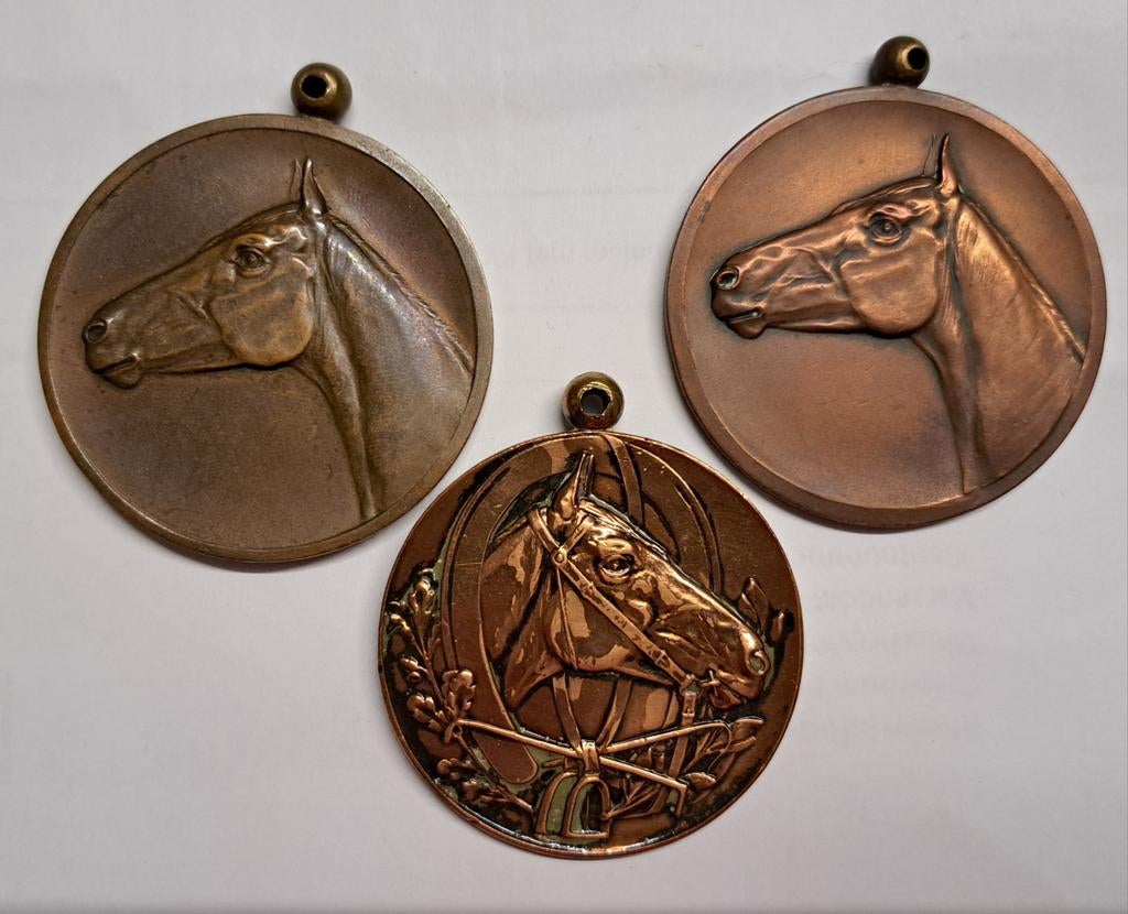 Paarden fokkerij vereniging / concours hippique / paard, Postzegels en Munten, Penningen en Medailles, Ophalen of Verzenden, Brons