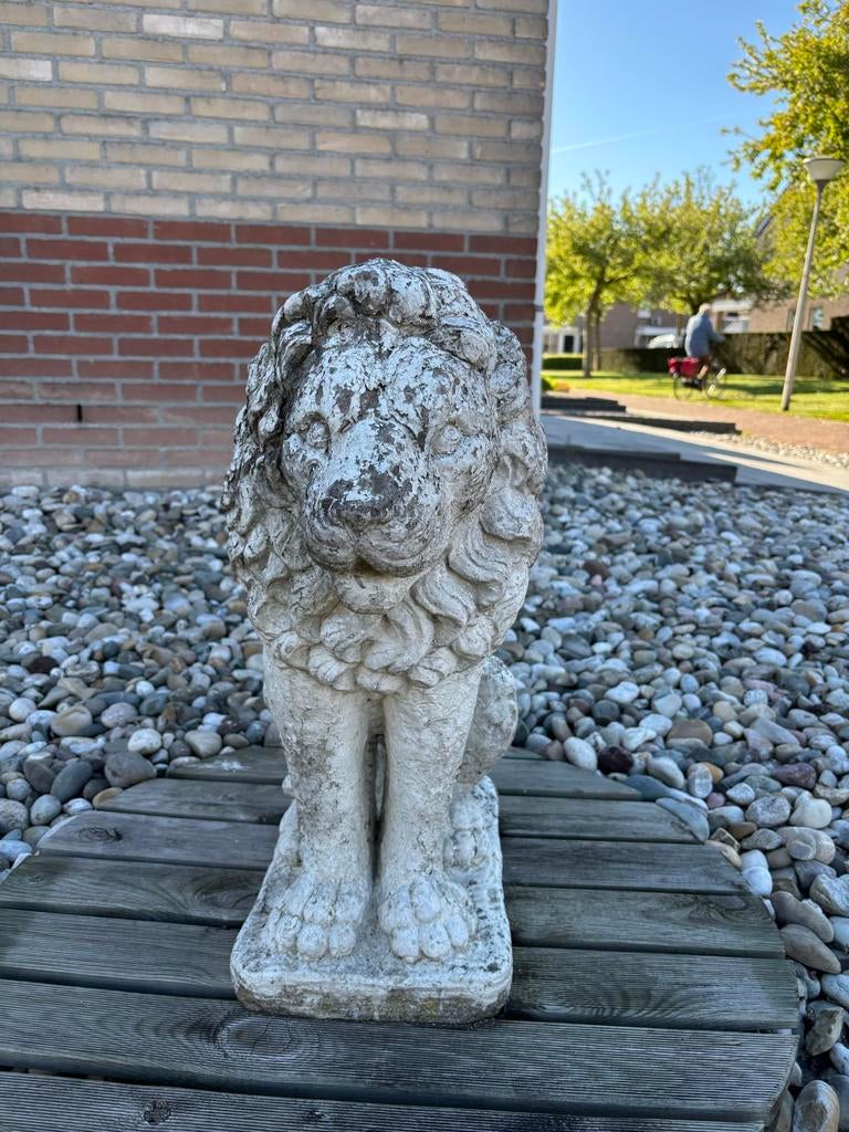 Leeuw tuinornament op vlonder - H: 63cm, Ø 80cm, Tuin en Terras, Ophalen, Gebruikt, Beton, Dierenbeeld