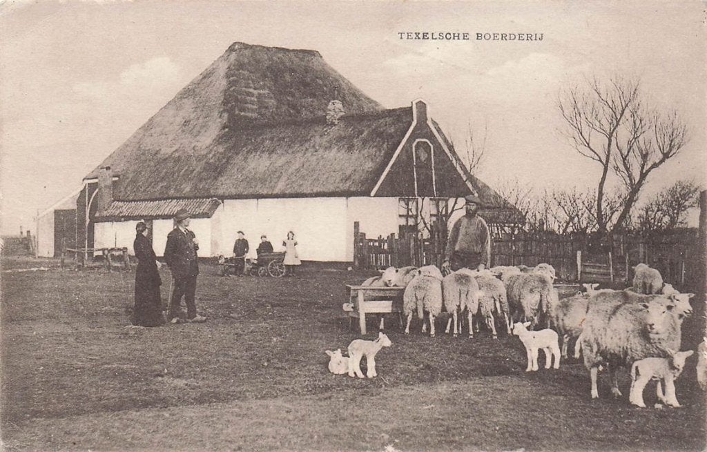 703-126-021 Texelsche Boerderij, Verzenden, Voor 1920, Noord-Holland