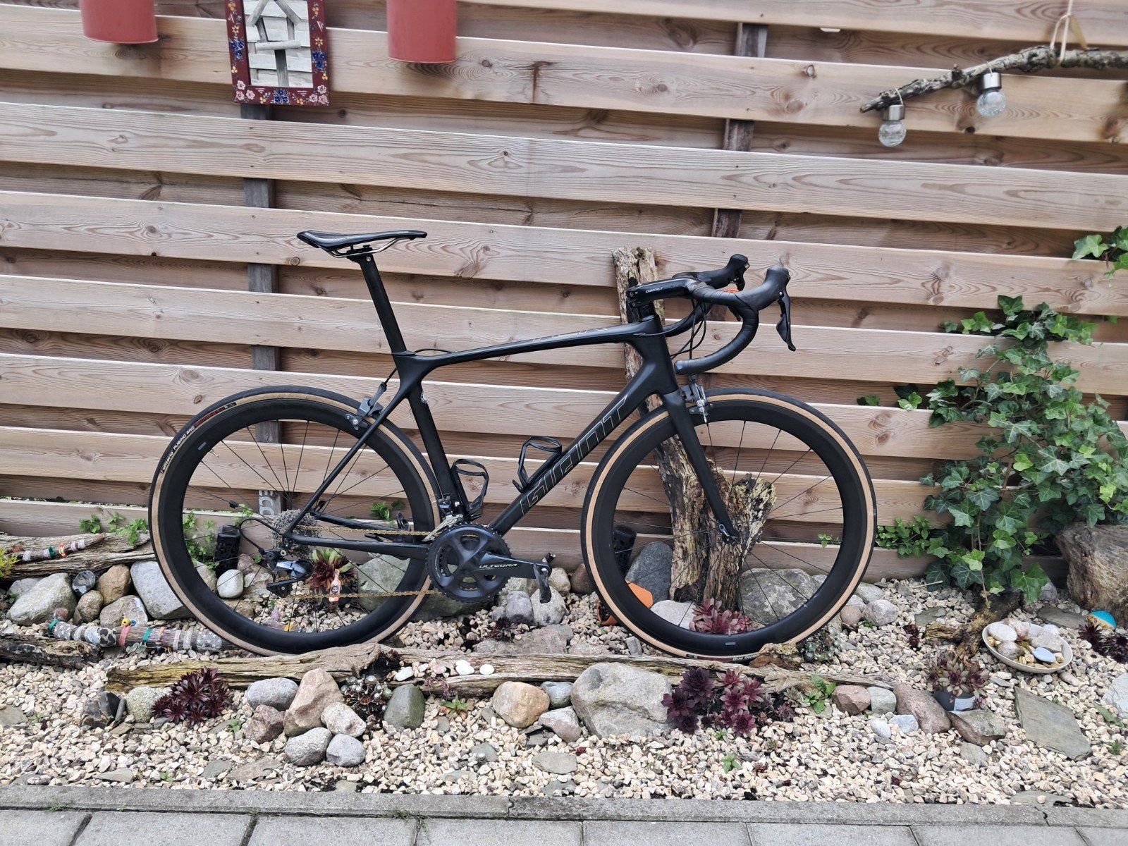 Giant TCR Advanced Pro 1 | met of zonder vermogensmeter, Ophalen of Verzenden, Carbon, Meer dan 20 versnellingen, Giant