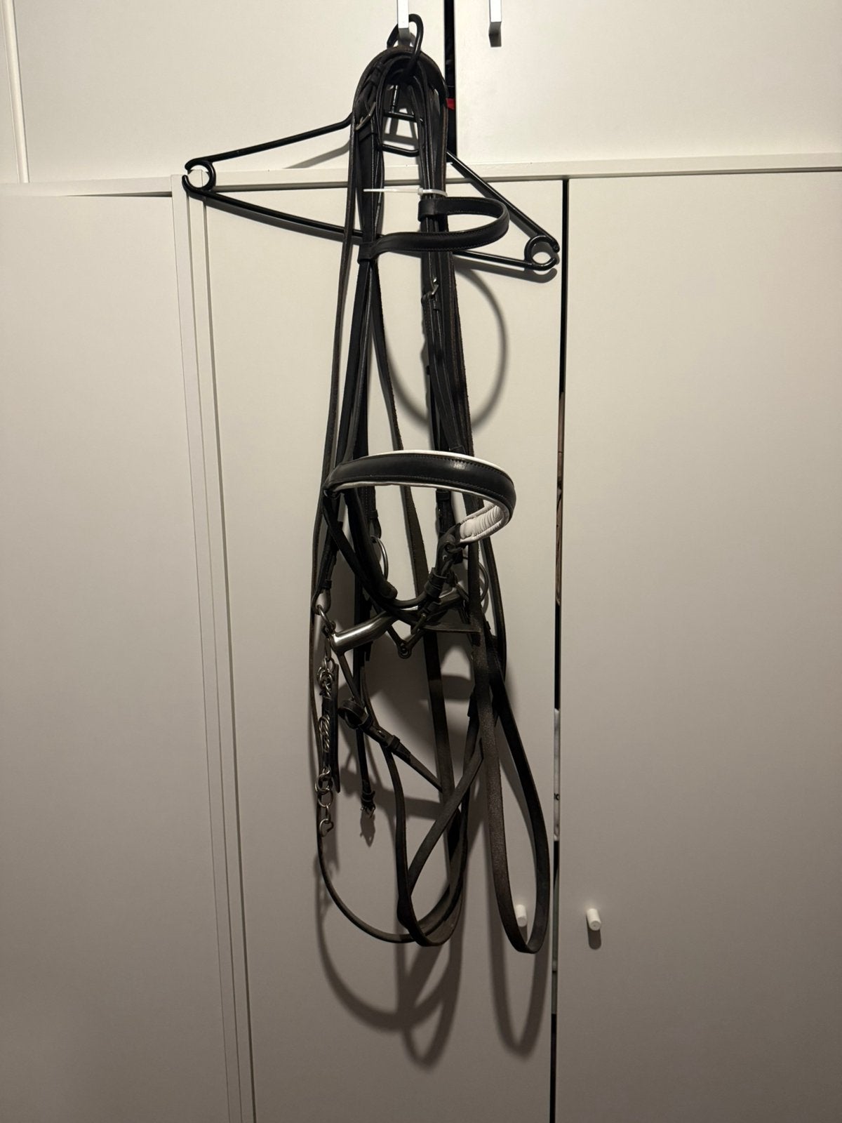 Stang en trens full, Dieren en Toebehoren, Ophalen of Verzenden, Zo goed als nieuw, Full