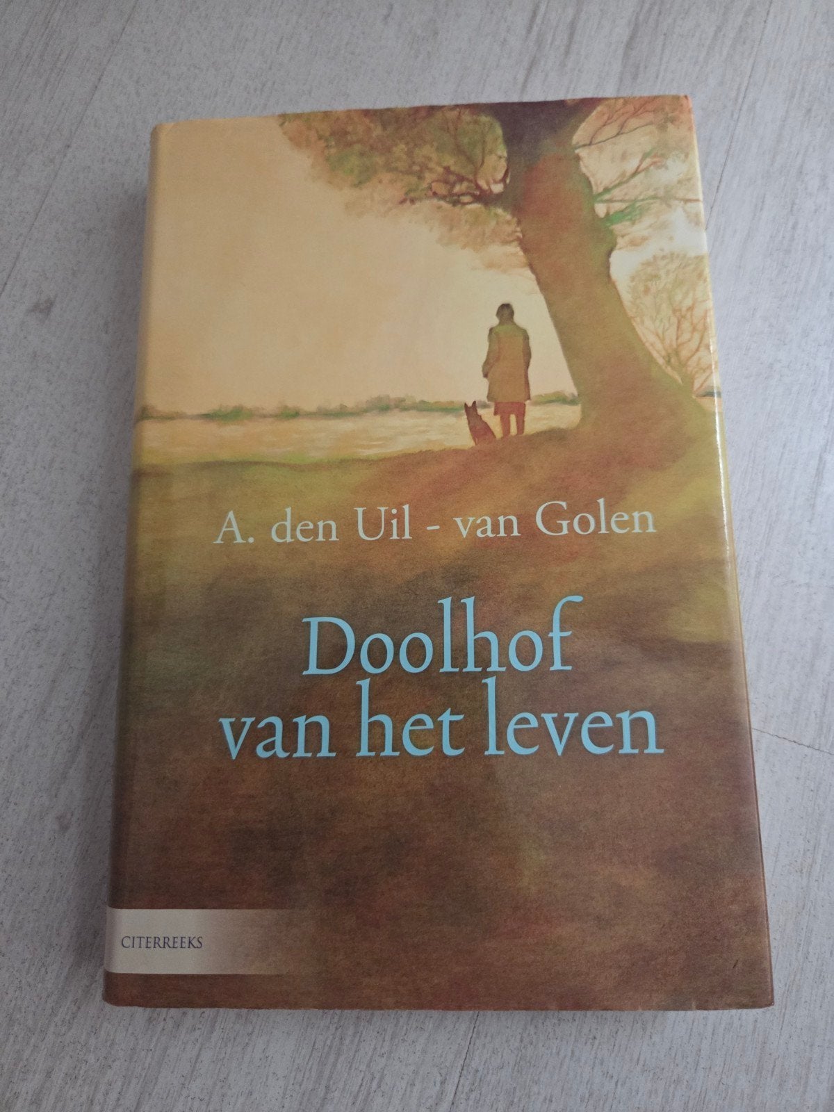 Doolhof van het leven - A. den Uil - van Golen, Boeken, Verzenden, Zo goed als nieuw, A. den Uil - van Golen, Nederland