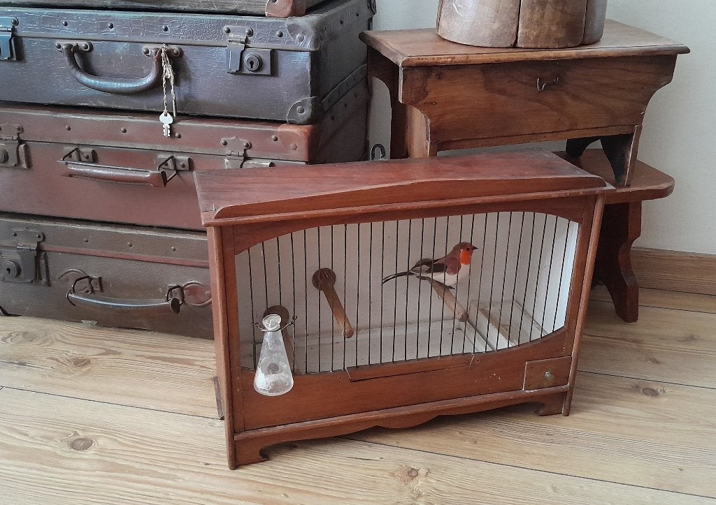 ~ Oude Vogelkooi, Antiek en Kunst, Ophalen of Verzenden