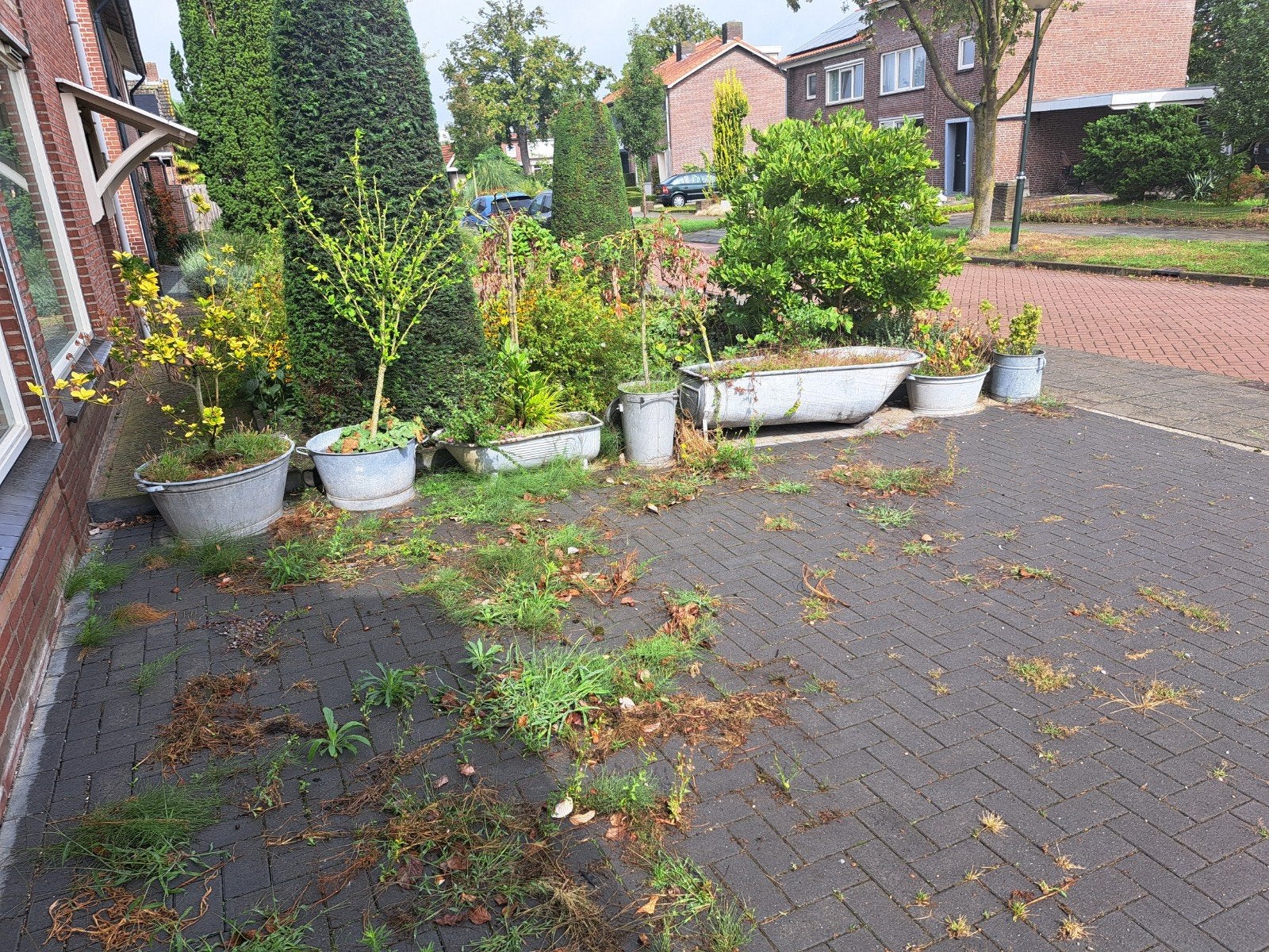 Diverse zinken plantenbakken en zinken kuipen badkuip, Ophalen, Gebruikt, 100 cm of meer, Balkon