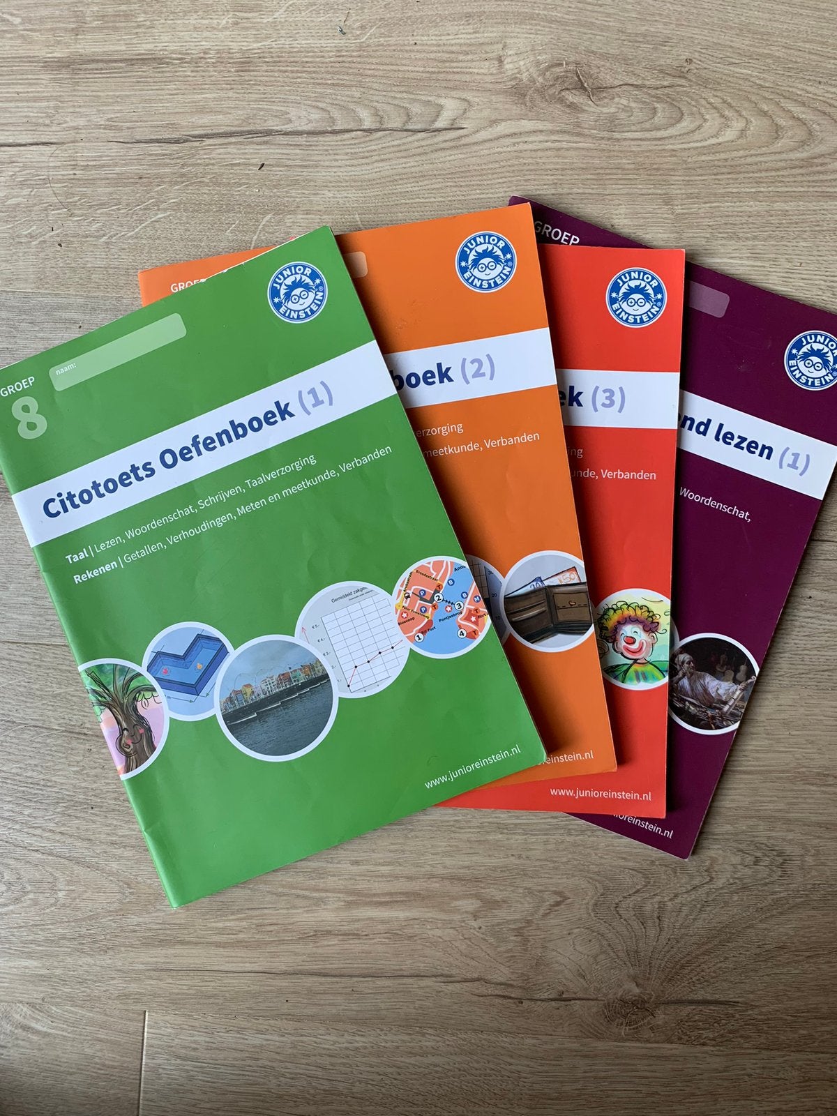 Citotoets groep 8 oefenboeken rekenen taal begrijpend lezen, Ophalen, Zo goed als nieuw, Overige niveaus, Nederlands