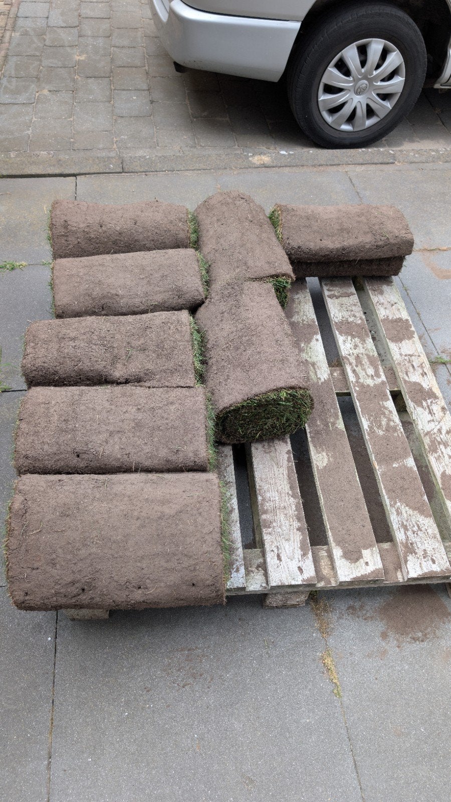 8 m2 verse graszoden (vandaag geleverd om 12 uur), Tuin en Terras, Gras en Kunstgras, Ophalen, Nieuw, Minder dan 10 m²