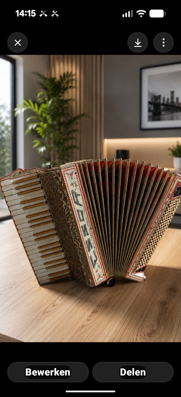 Mooiste playback accordeon van marktplaats, Muziek en Instrumenten, Ophalen of Verzenden, Zo goed als nieuw, 120-bas, Overige merken