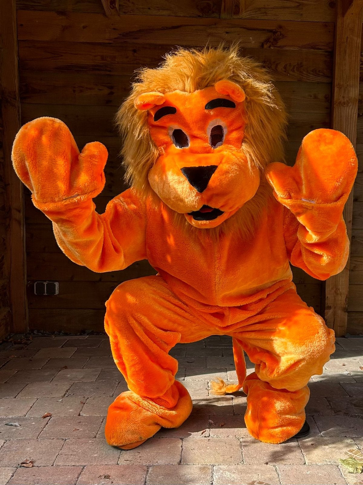 Koningsdag of EK WK in ECHTE oranje leeuw kostuum? 25 euro, Ophalen of Verzenden, Zo goed als nieuw, Oranje of Koningsdag