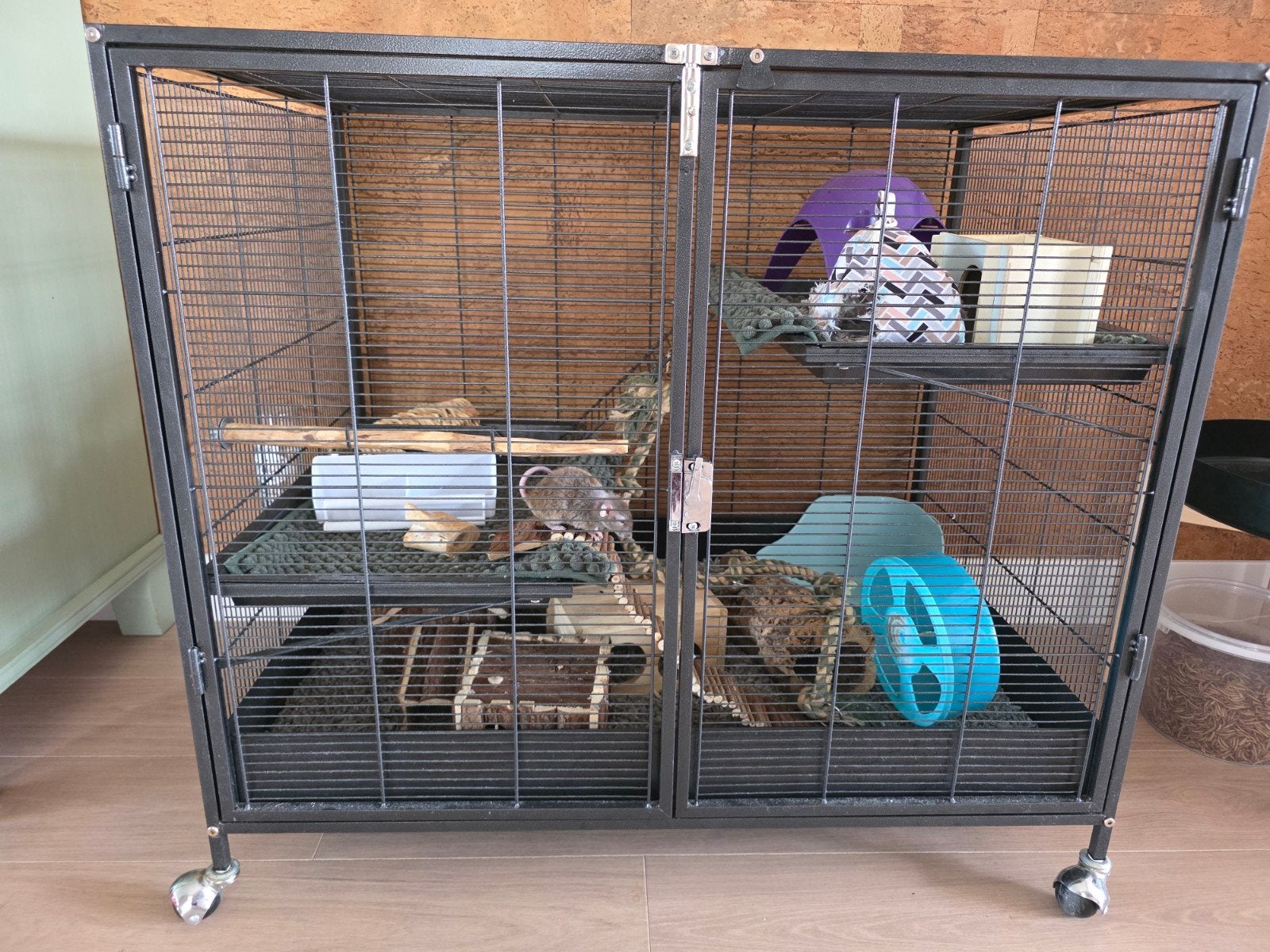 Rattenkooi voor kleine knaagdieren bv dwergratjes, Ophalen, 75 tot 110 cm, Kooi, Minder dan 60 cm