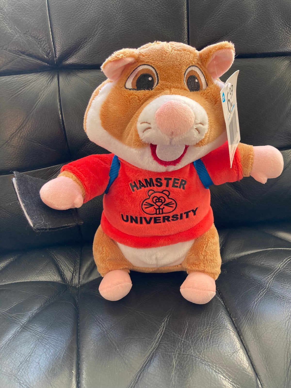 Ah hamster student, Kinderen en Baby's, Speelgoed | Knuffels en Pluche, Ophalen of Verzenden, Zo goed als nieuw, Overige typen
