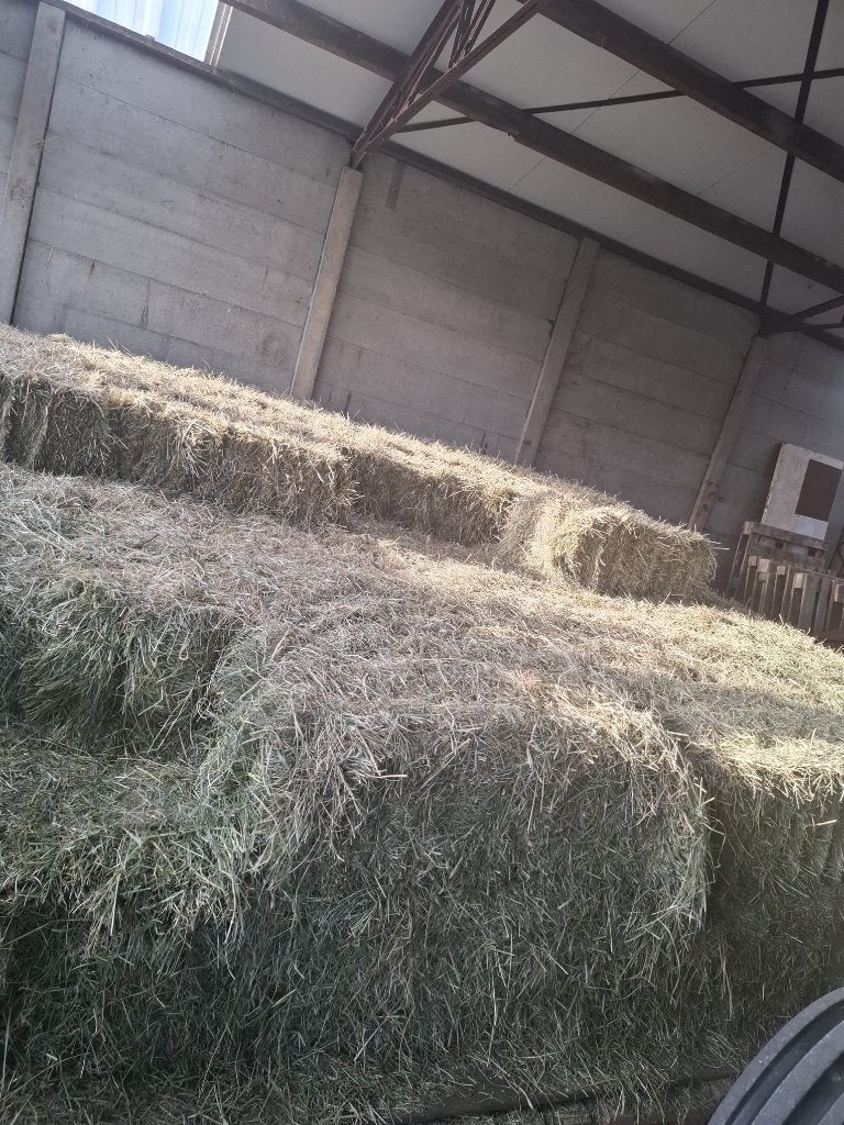 kleine balen hooi, Dieren en Toebehoren, Ophalen, Vee