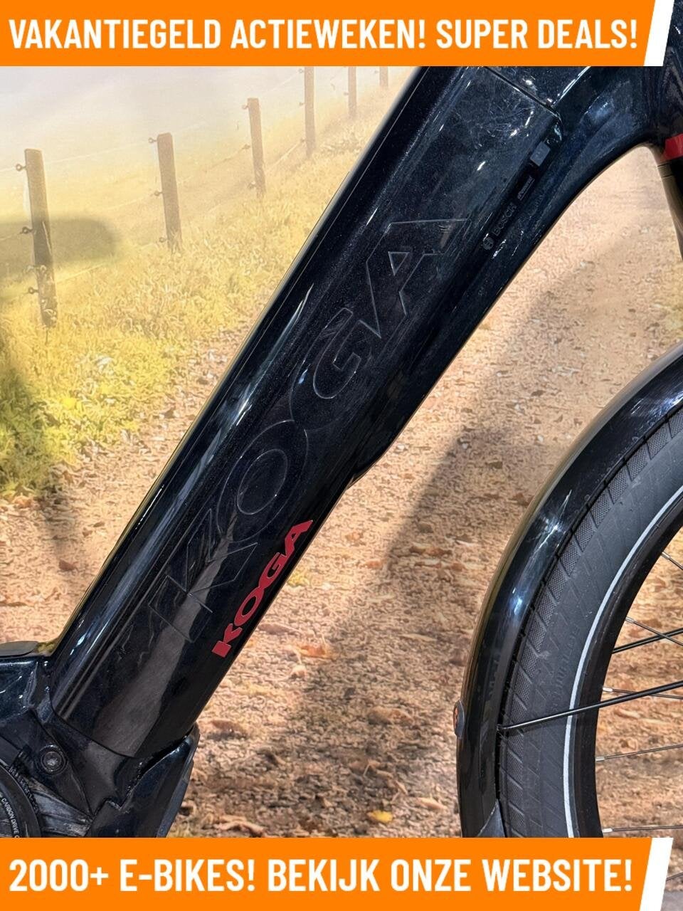 Koga PACE B10 Elektrische fiets Bosch CX Midden motor & riem, Overige merken