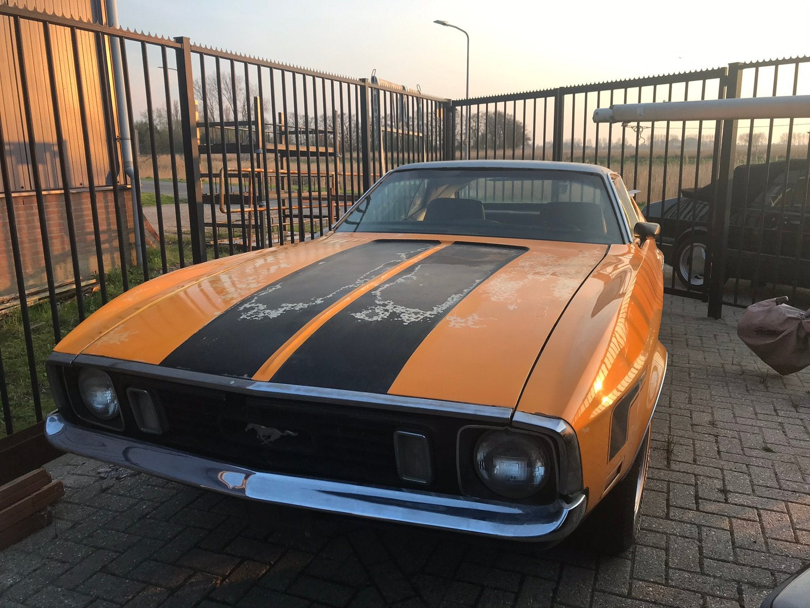 Ford Mustang Onderdelen, Auto-onderdelen, Ophalen, Ford, Motorkap