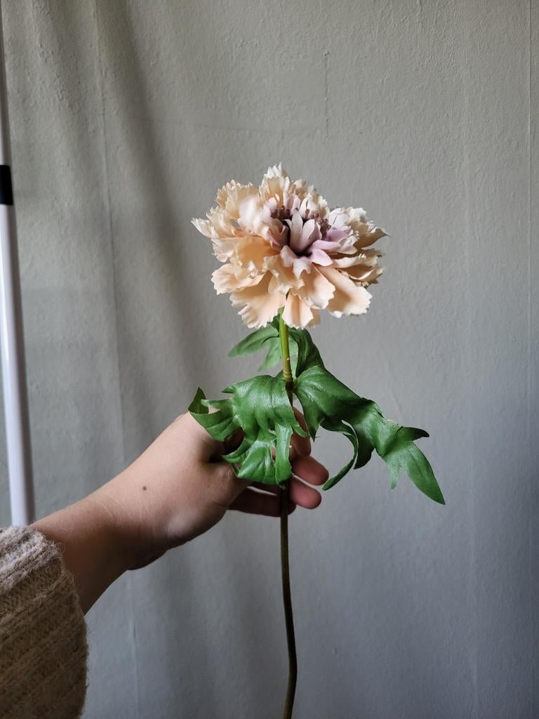 Nieuwe kunstbloem - Neppe bloem, Binnen, Beige, Kunstbloem, Nieuw