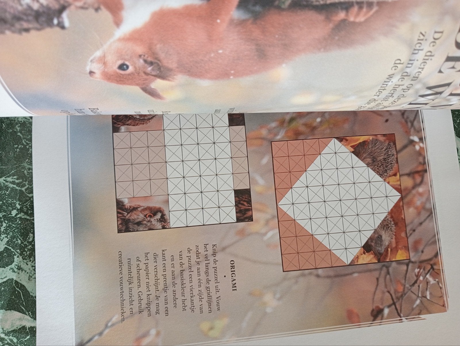 Holland & Barrett Puzzelmagazine - Denk aan je brein, Ophalen of Verzenden, Gebruikt, Puzzelboek