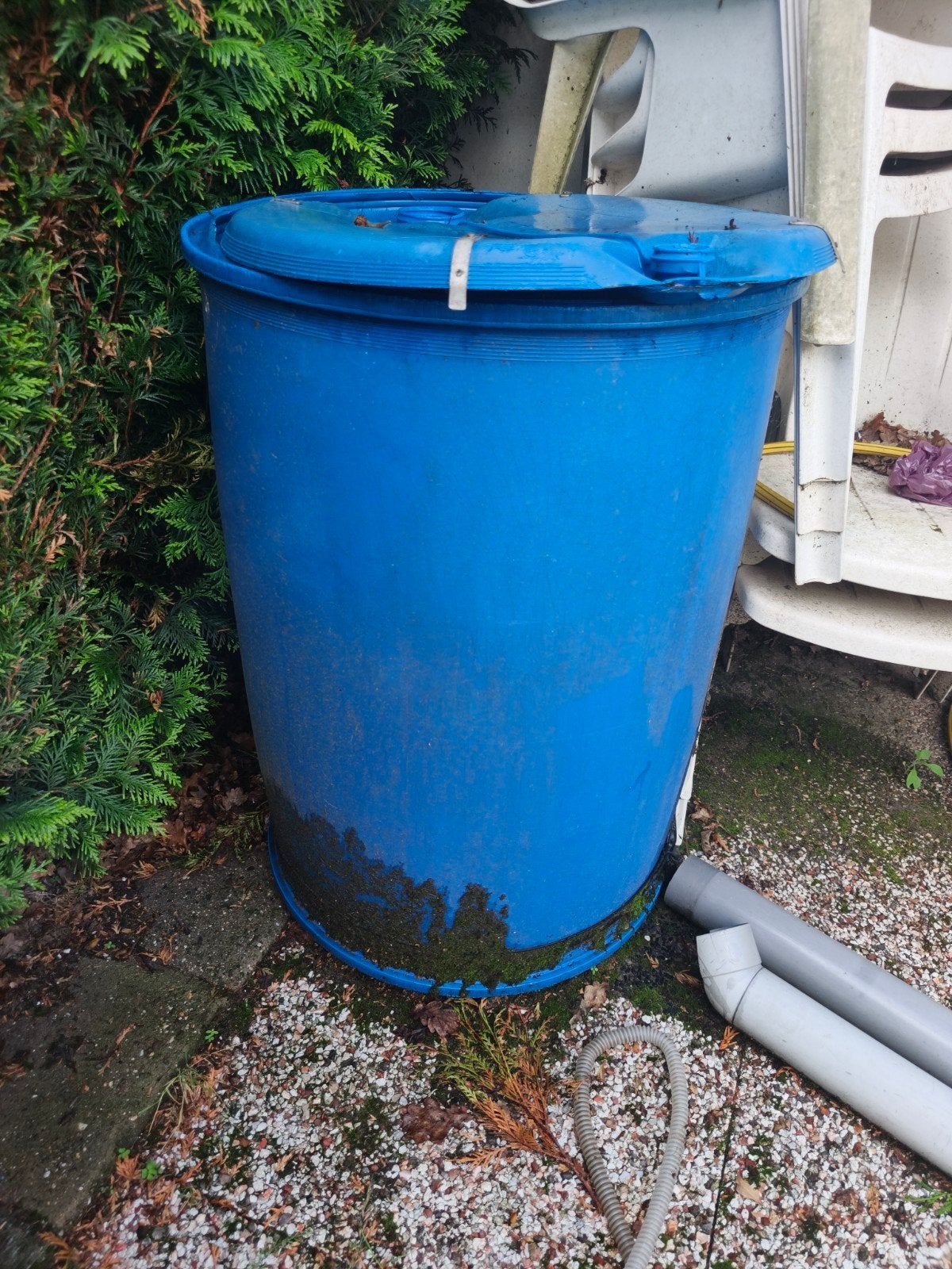 Blauwe regenton met deksel - Gebruikt, Tuin en Terras, 150 liter of meer, Ophalen, Gebruikt, Kunststof