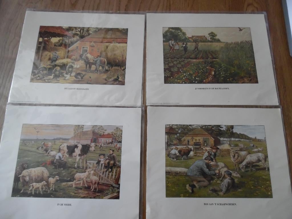 4 oude prenten van tekenaar Jetses gelamineerd in nieuwstaat, Natuur, Nieuw, Ophalen of Verzenden, 1940 tot 1960