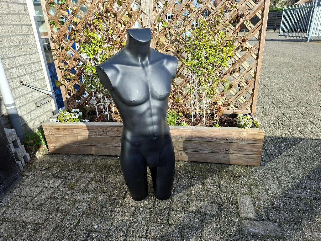 schitterende mannen torso beeld, Verzamelen, Beelden en Beeldjes, Ophalen of Verzenden, Zo goed als nieuw, Mens