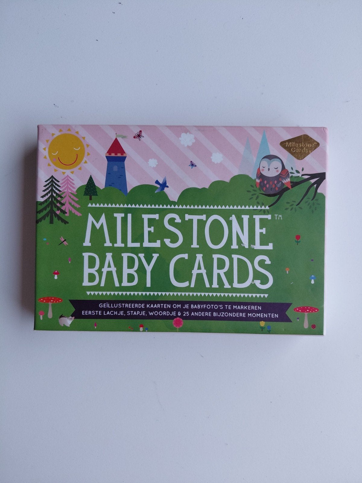 Gemma Broekhuis - Milestone Baby Cards, Ophalen of Verzenden, Zo goed als nieuw, Gemma Broekhuis