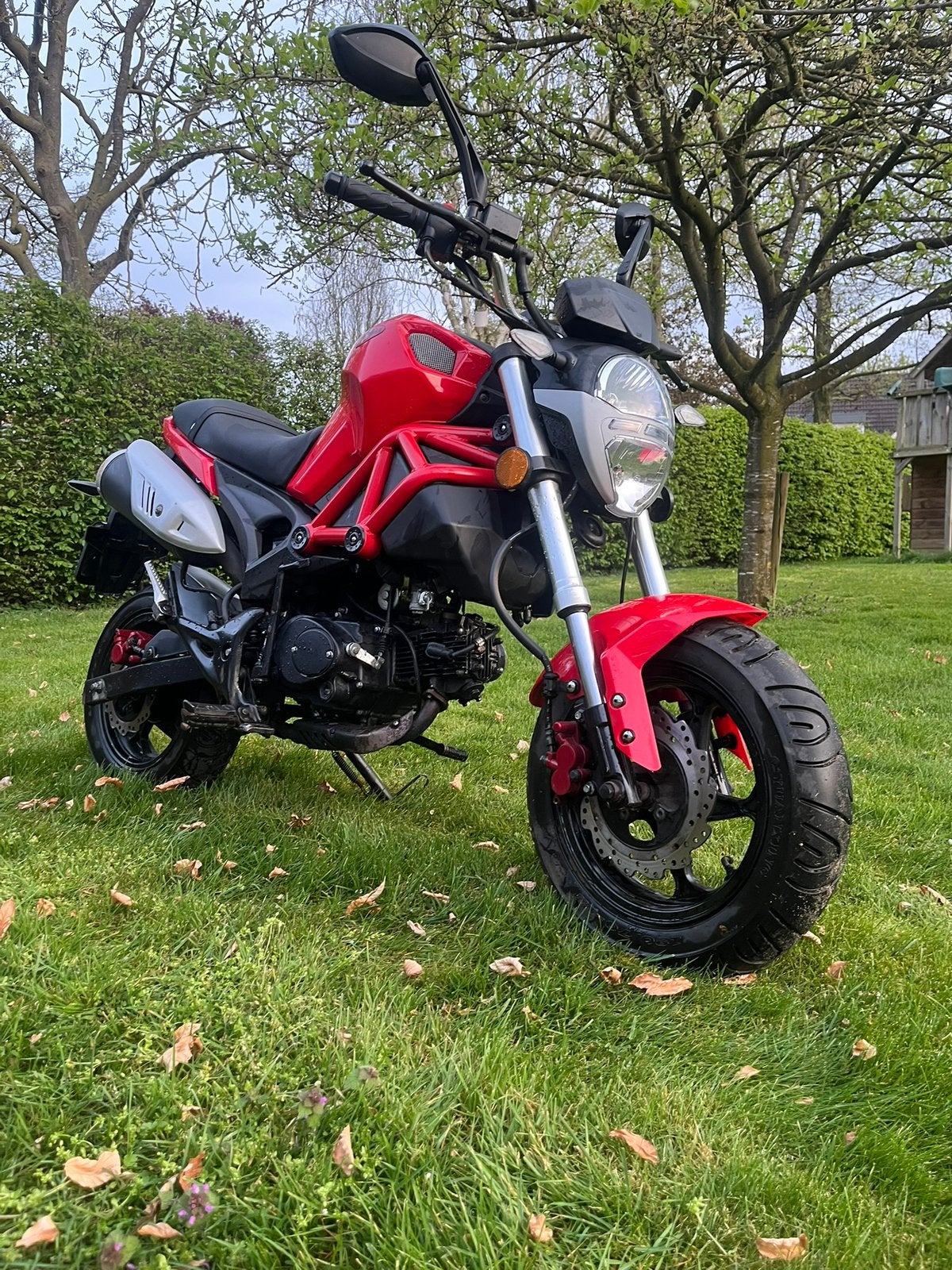 Gomax Dragon 50 Schakelbrommer, Ophalen, Maximaal 45 km/u, Zo goed als nieuw, 4 versnellingen