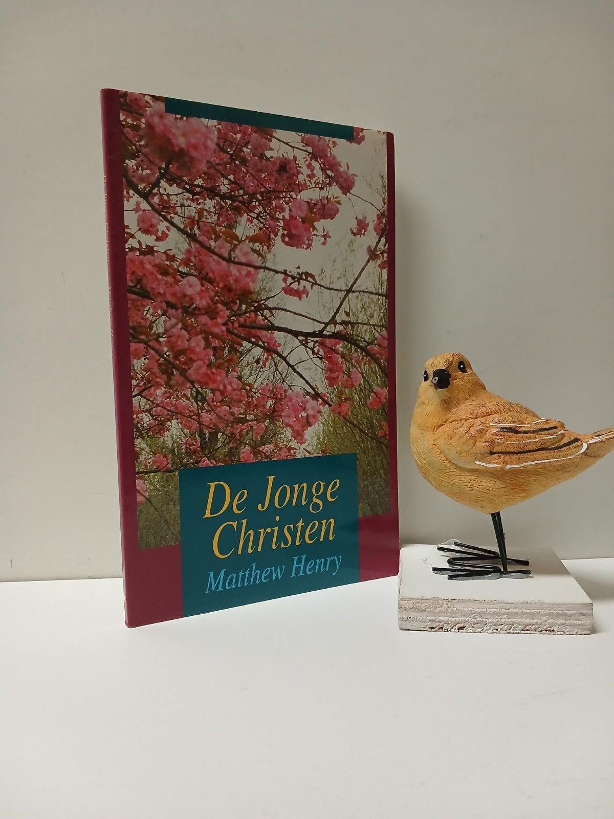 Henry, Matthew; De jonge christen, Boeken, Ophalen of Verzenden, Gelezen, Christendom | Protestants