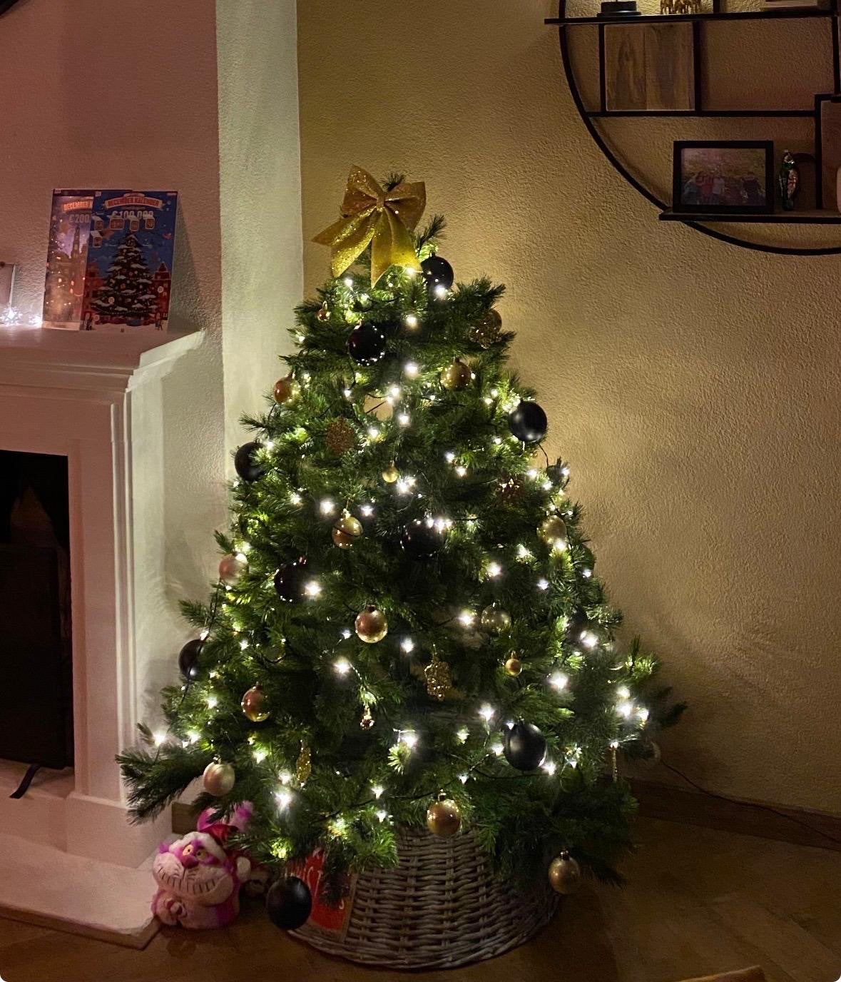 Kerstboom, Triumph Tree 155 cm, Diversen, Ophalen, Nieuw