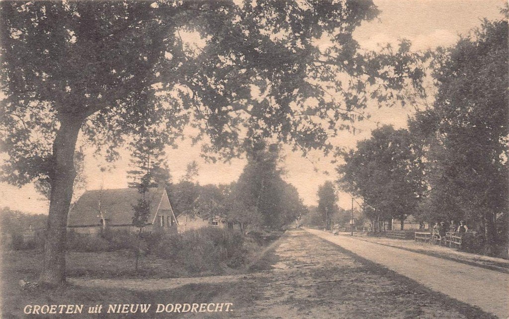 810 Groeten uit Nieuw-Dordrecht 1929, Ophalen of Verzenden, 1920 tot 1940, Gelopen, Drenthe