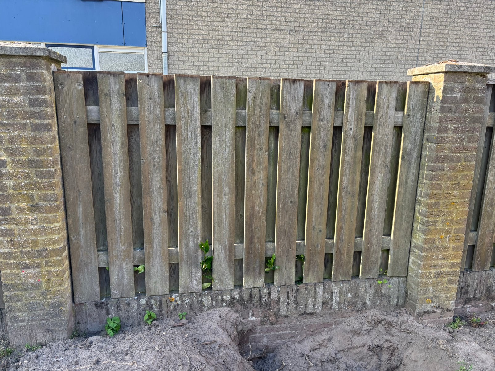 Schuttingpanelen gebruikt, Ophalen, Minder dan 3 meter, Hout, 1 tot 2 meter
