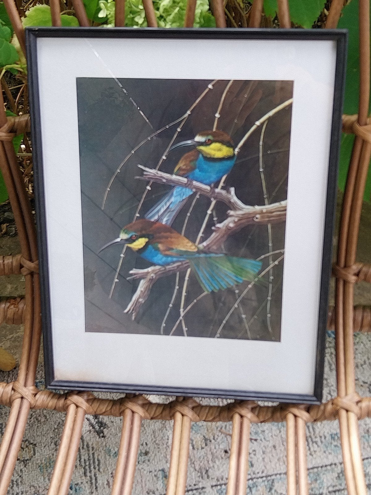 Ingelijste print van kleurrijke bijeneters, Papier/karton, Ophalen of Verzenden, Dieren, Print