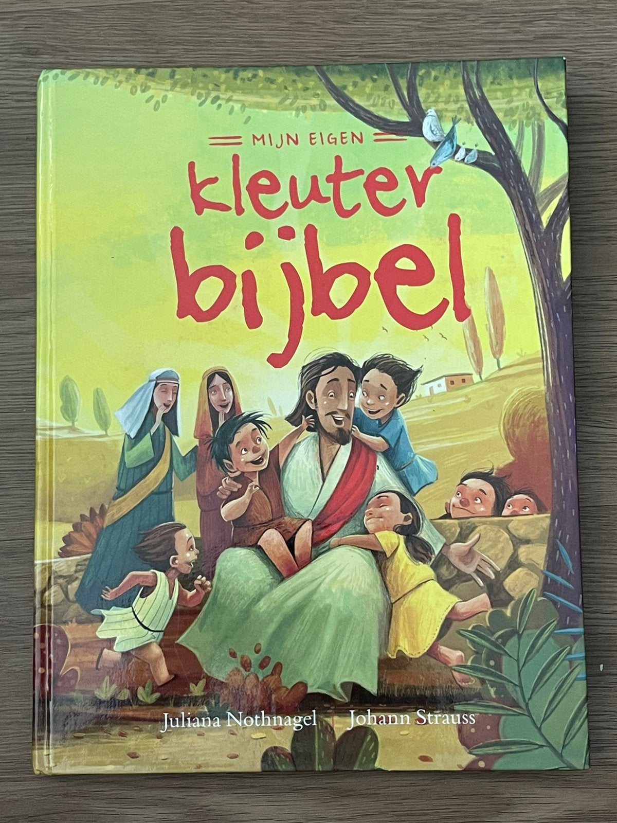 Mijn eigen Kleuterbijbel - Juliana Nothnagel & J. Strauss, Fictie algemeen, Juliana Nothnagel, Ophalen of Verzenden, Zo goed als nieuw