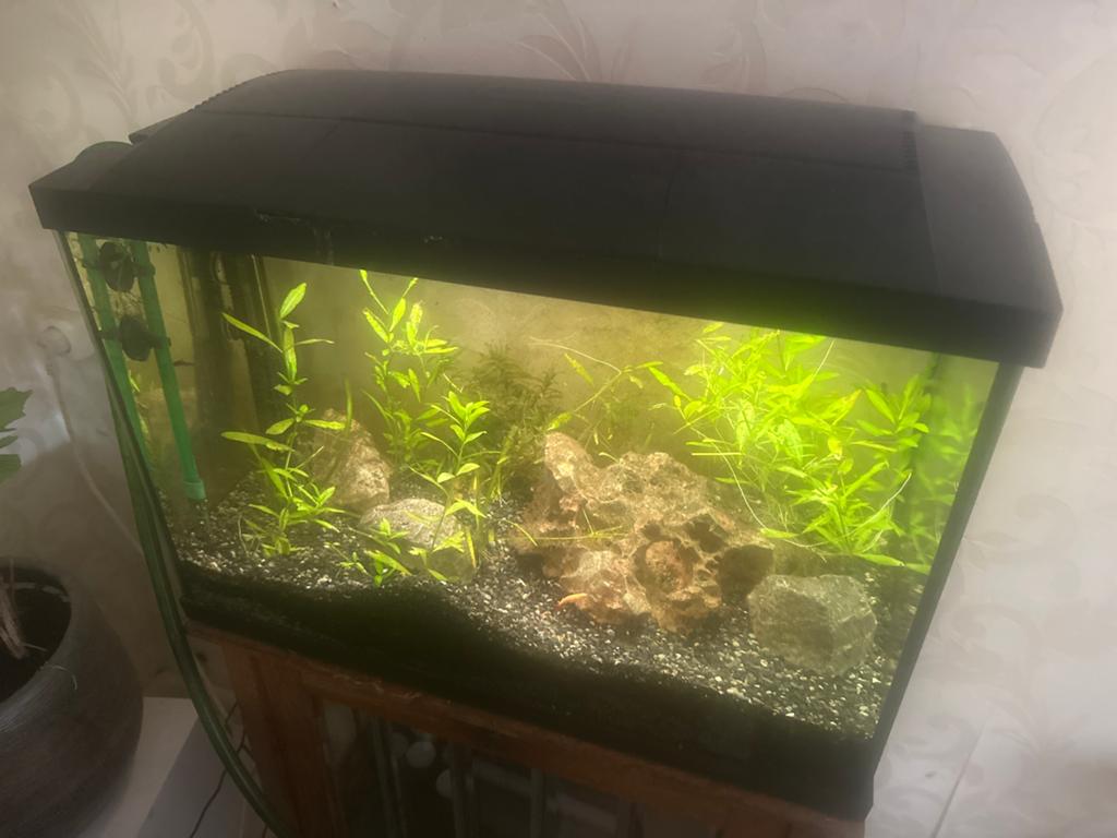 Aqarium, Ophalen, Leeg aquarium