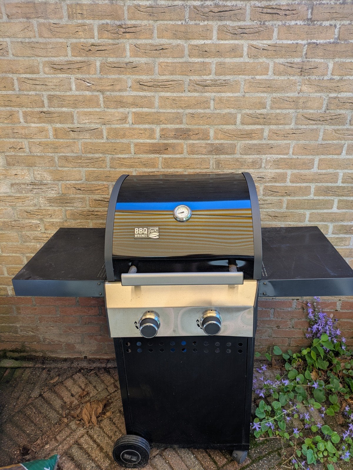 Gasbarbecue met 2 branders, inclusief gasfles, Ophalen, Gebruikt, BBQ Friends