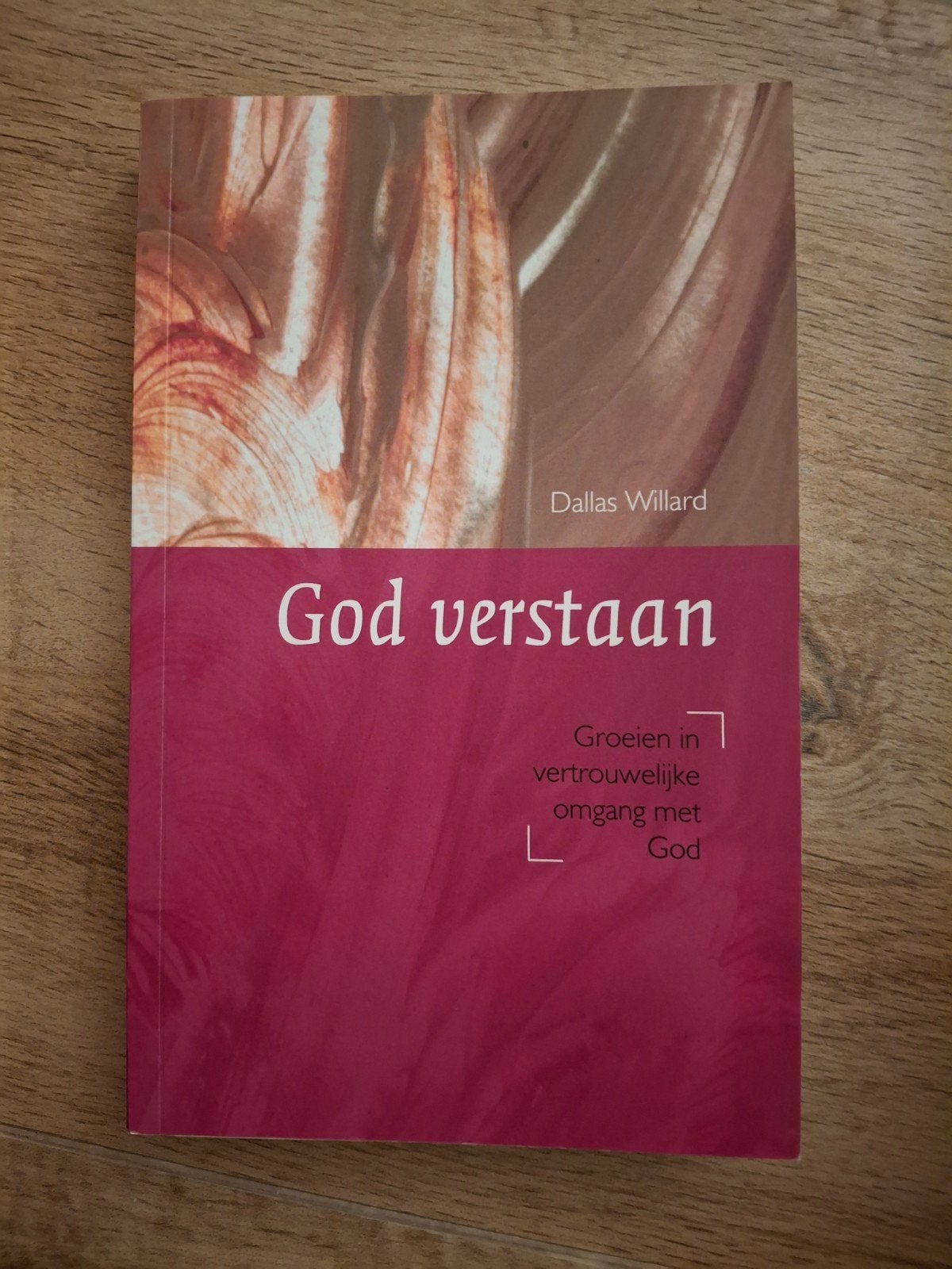D. Willard - God verstaan, Ophalen of Verzenden, Zo goed als nieuw, D. Willard