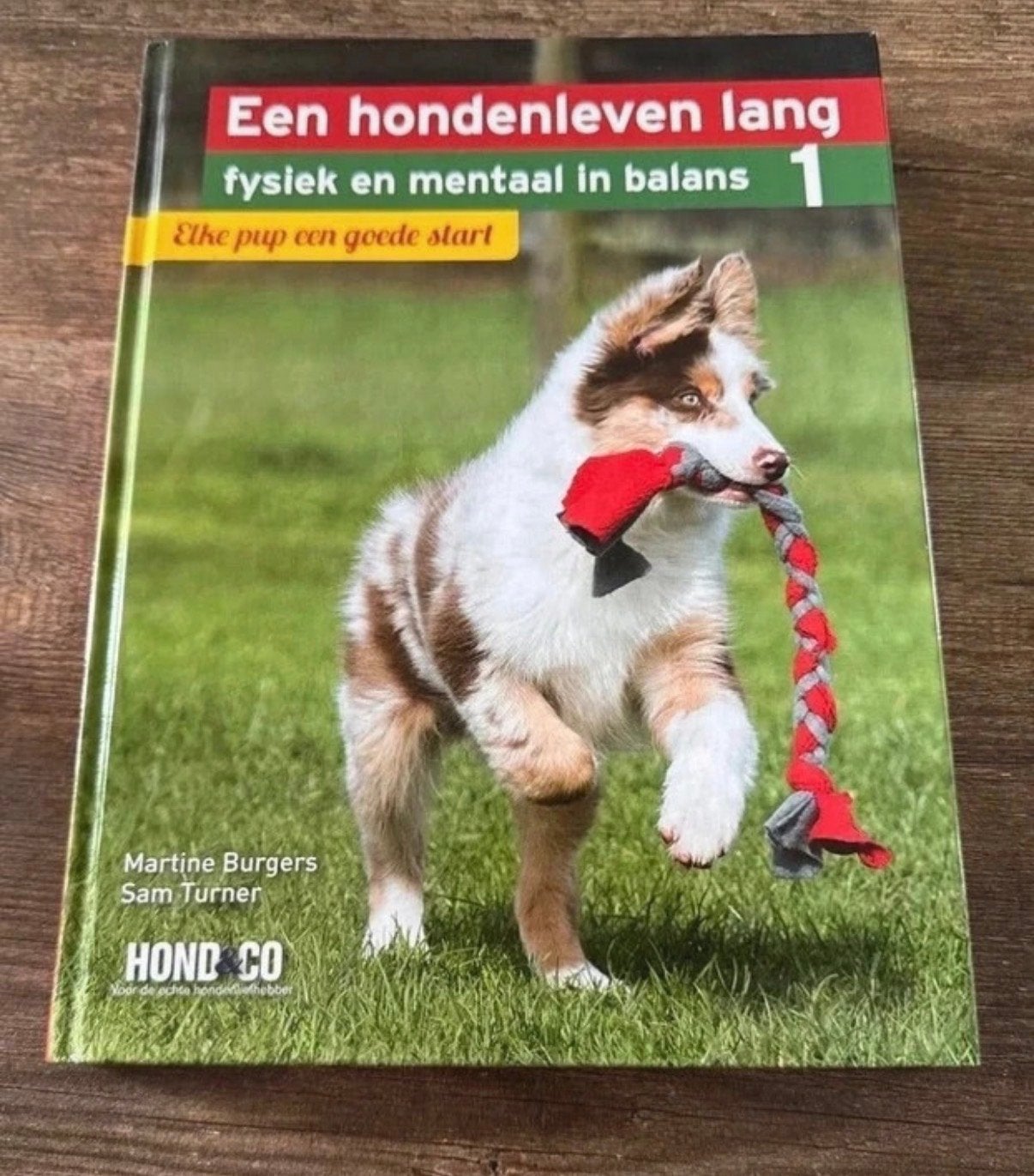 Een hondenleven lang: fysiek en mentaal in balans, Ophalen of Verzenden, Zo goed als nieuw, Honden