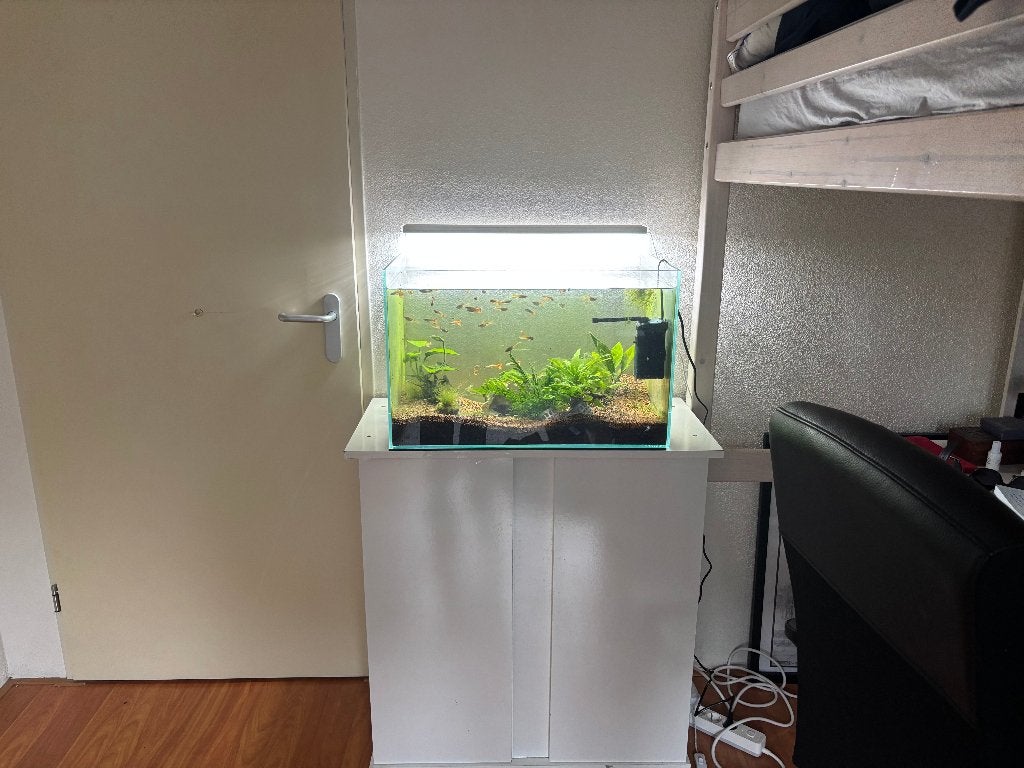 aqurium 90L + de kast, Ophalen, Inclusief vissen, Gebruikt, Gevuld zoetwateraquarium