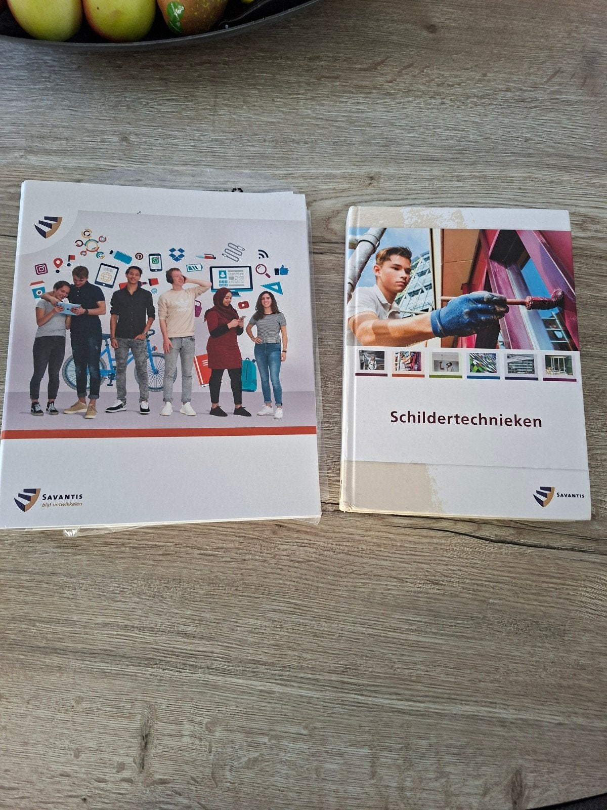 Savantis schilders vak opleiding boeken nieuw, Verzenden, Nieuw, Overige niveaus, Nederlands